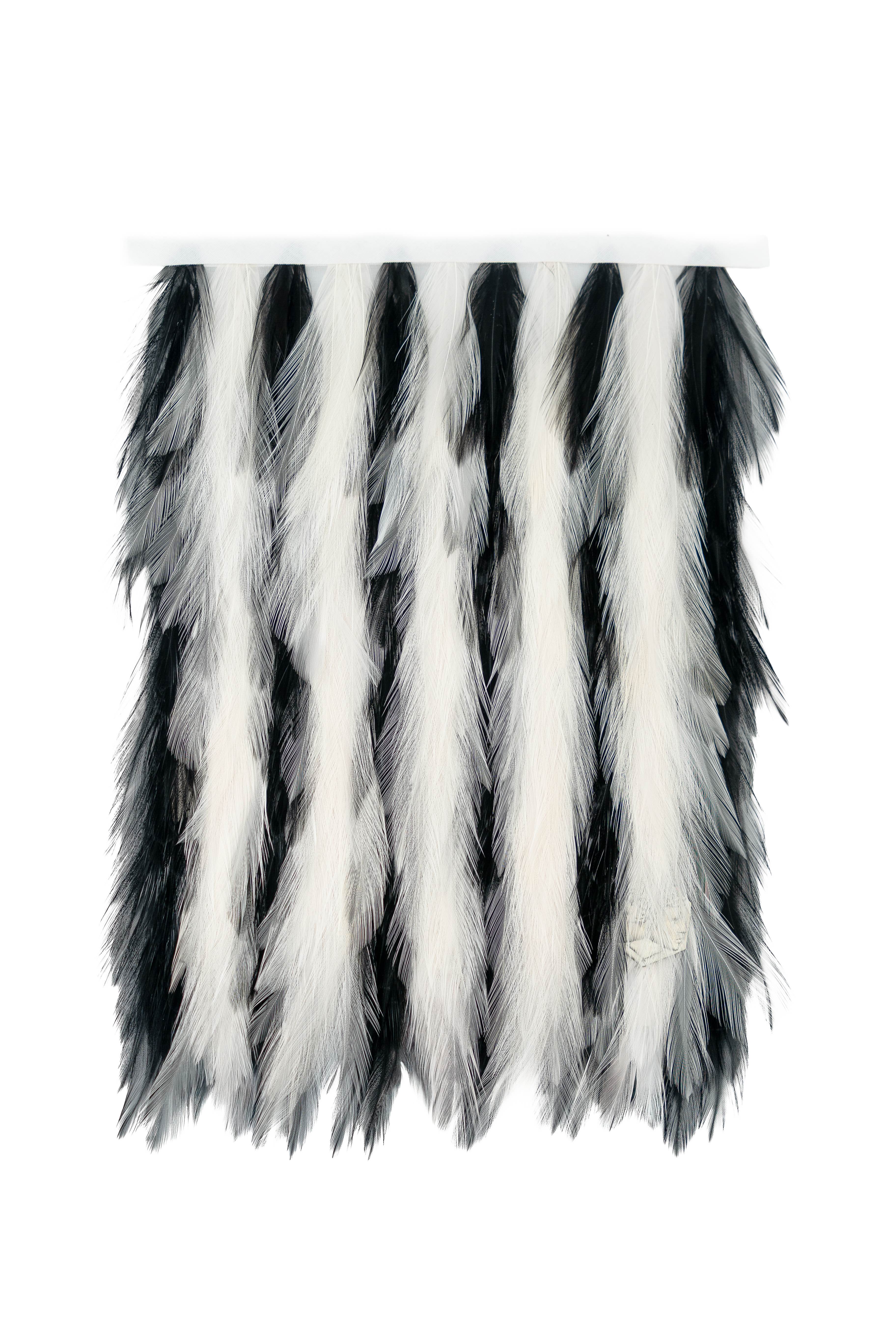 Echantillon plumasserie, zebra. Couleur : Noir, Blanc Catégorie : Graphic