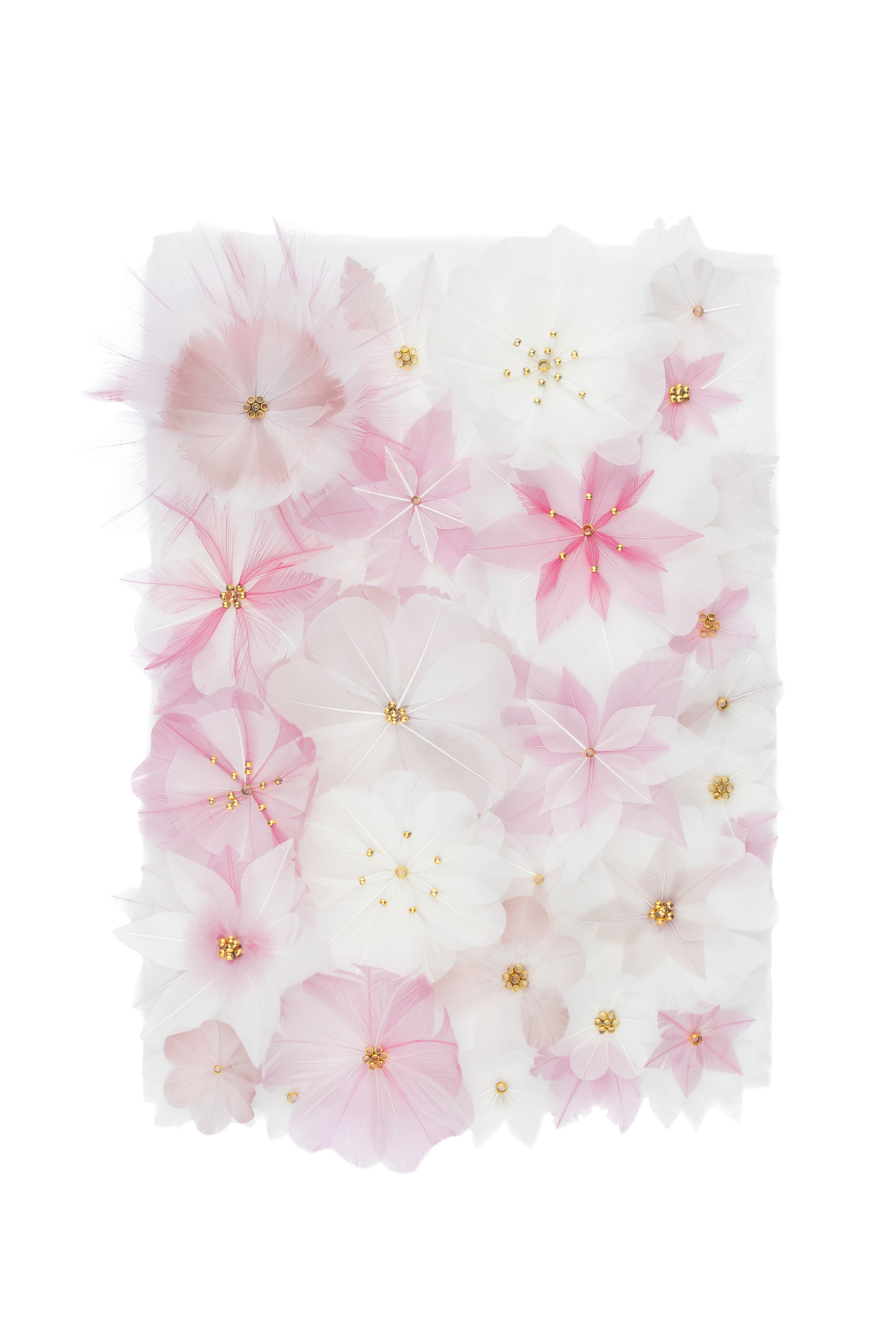 Echantillon plumasserie, pink garden. Couleur : Rose, Blanc Catégorie : Vegetal