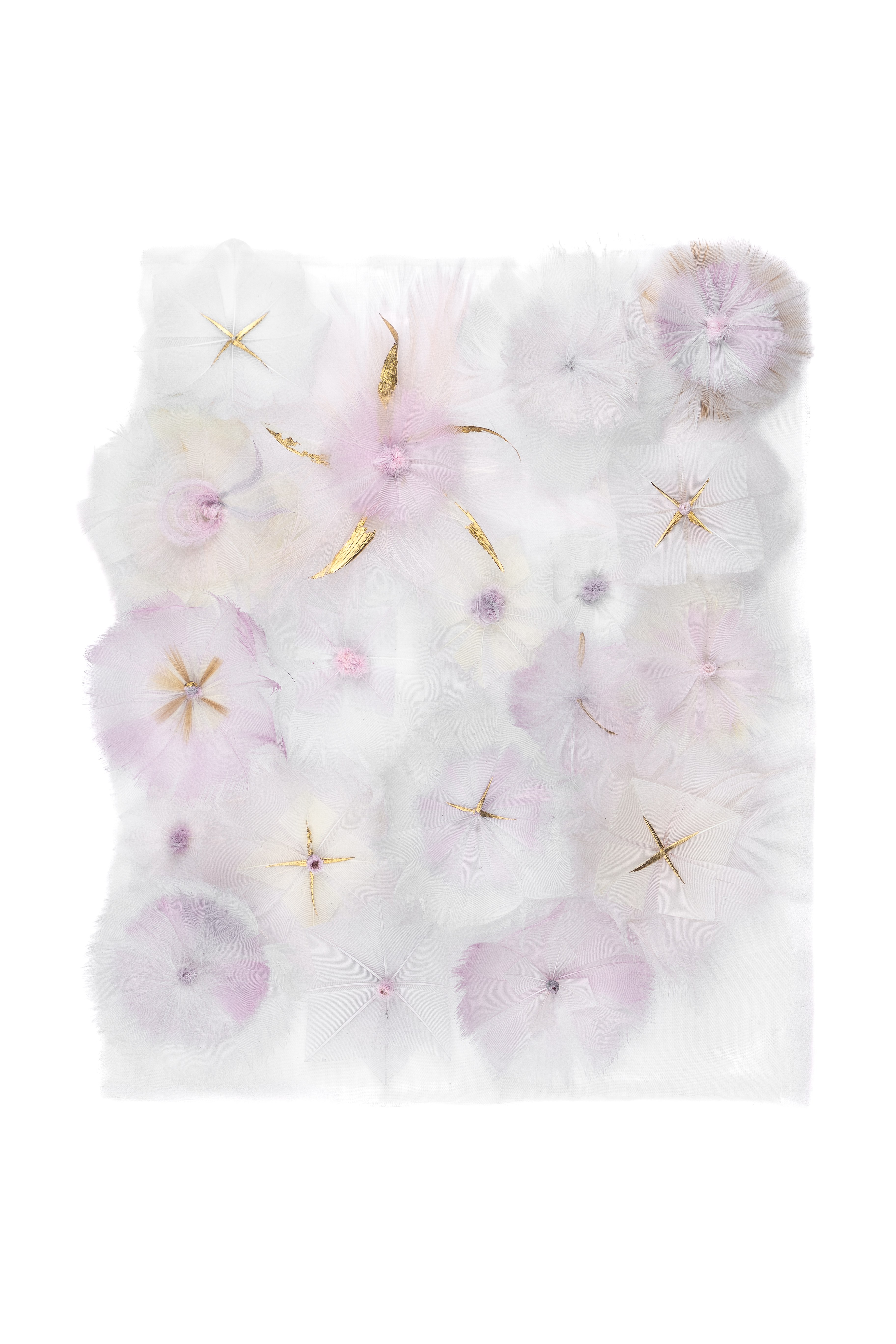 Echantillon plumasserie, pompadour. Couleur : Violet, Blanc, Doré Catégorie : Vegetal