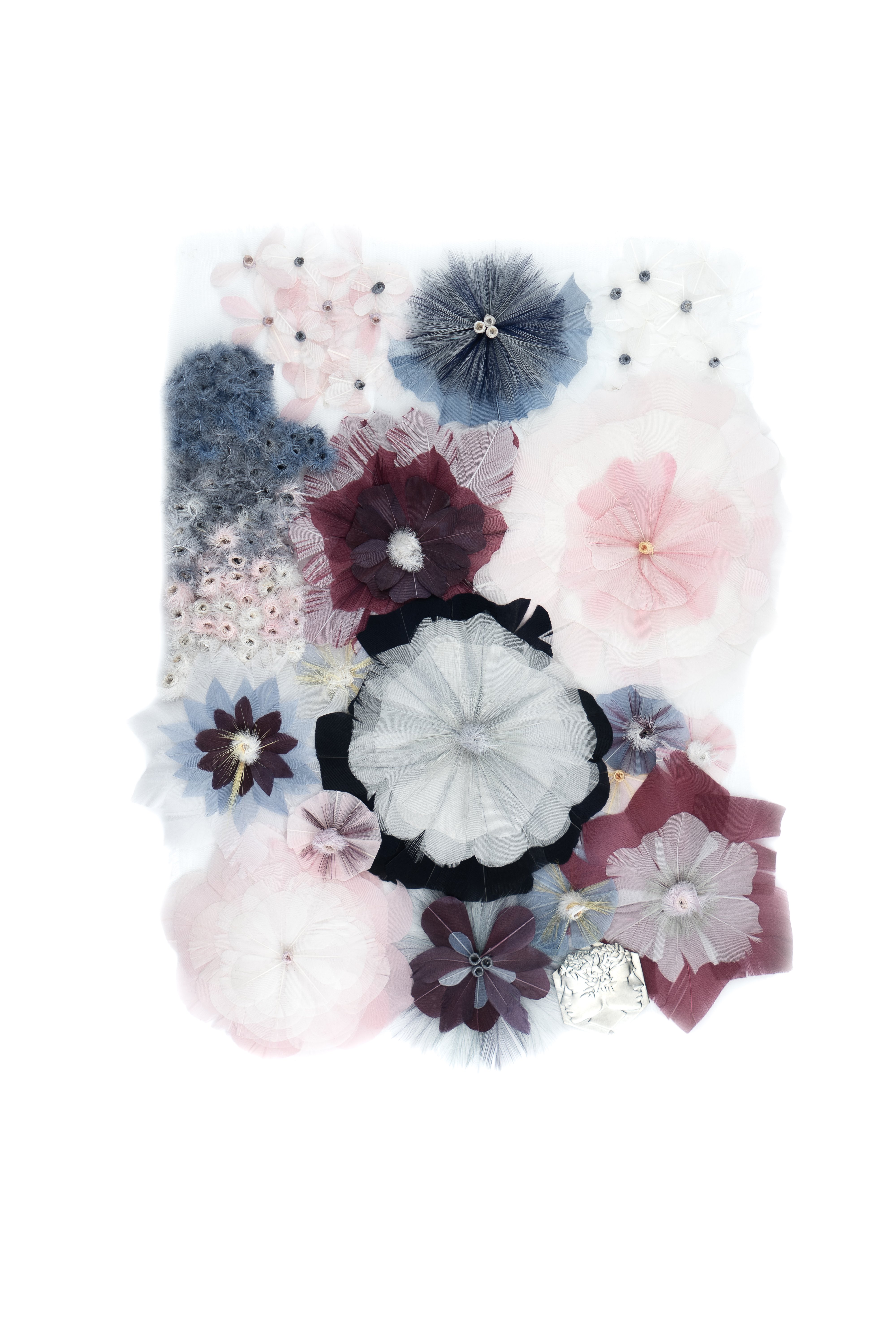 Echantillon plumasserie, secret garden. Couleur : Bleu, Rose, Bordeaux Catégorie : Vegetal