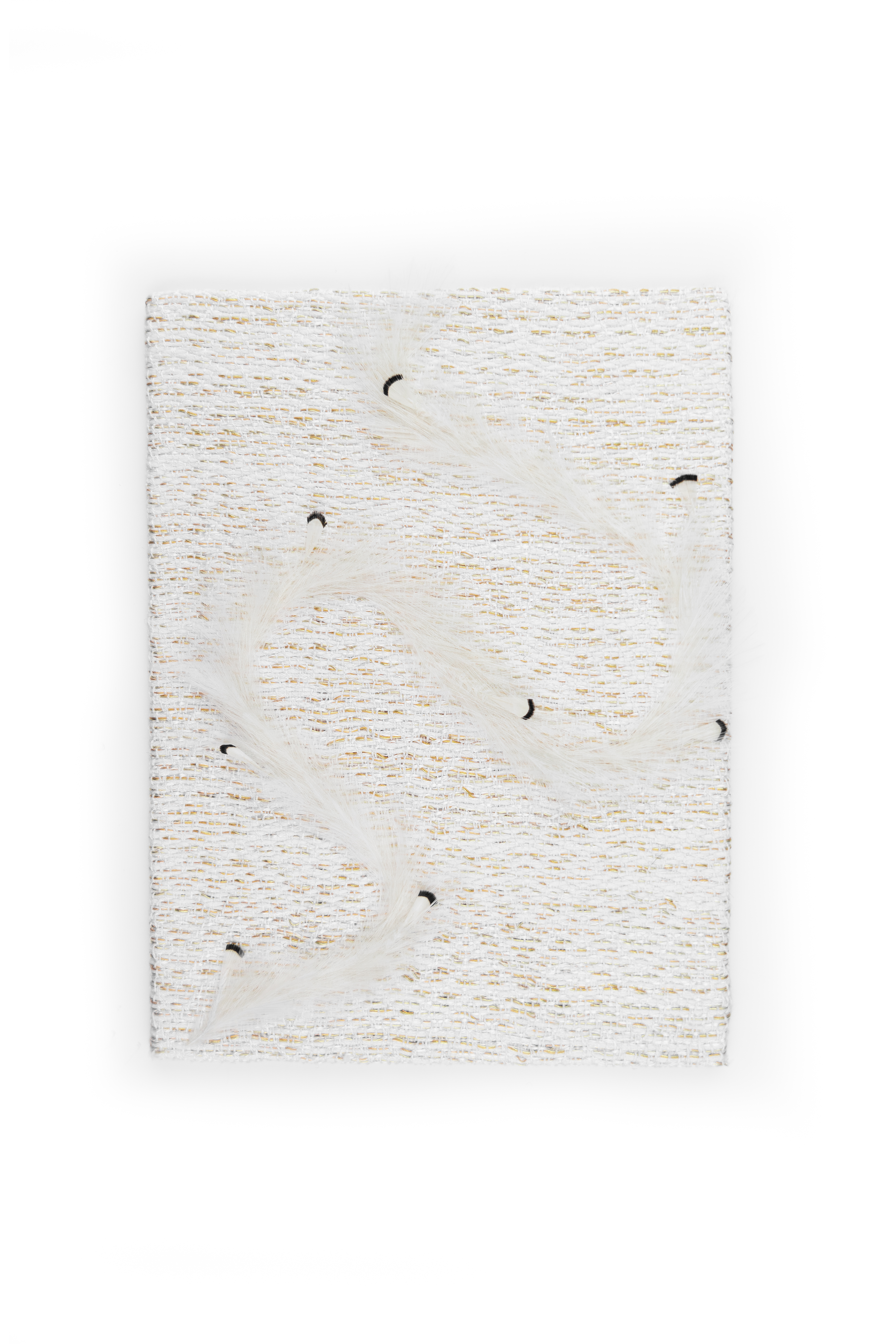 Echantillon plumasserie, Falkor. Couleur : Blanc, Crème Catégorie : Animal