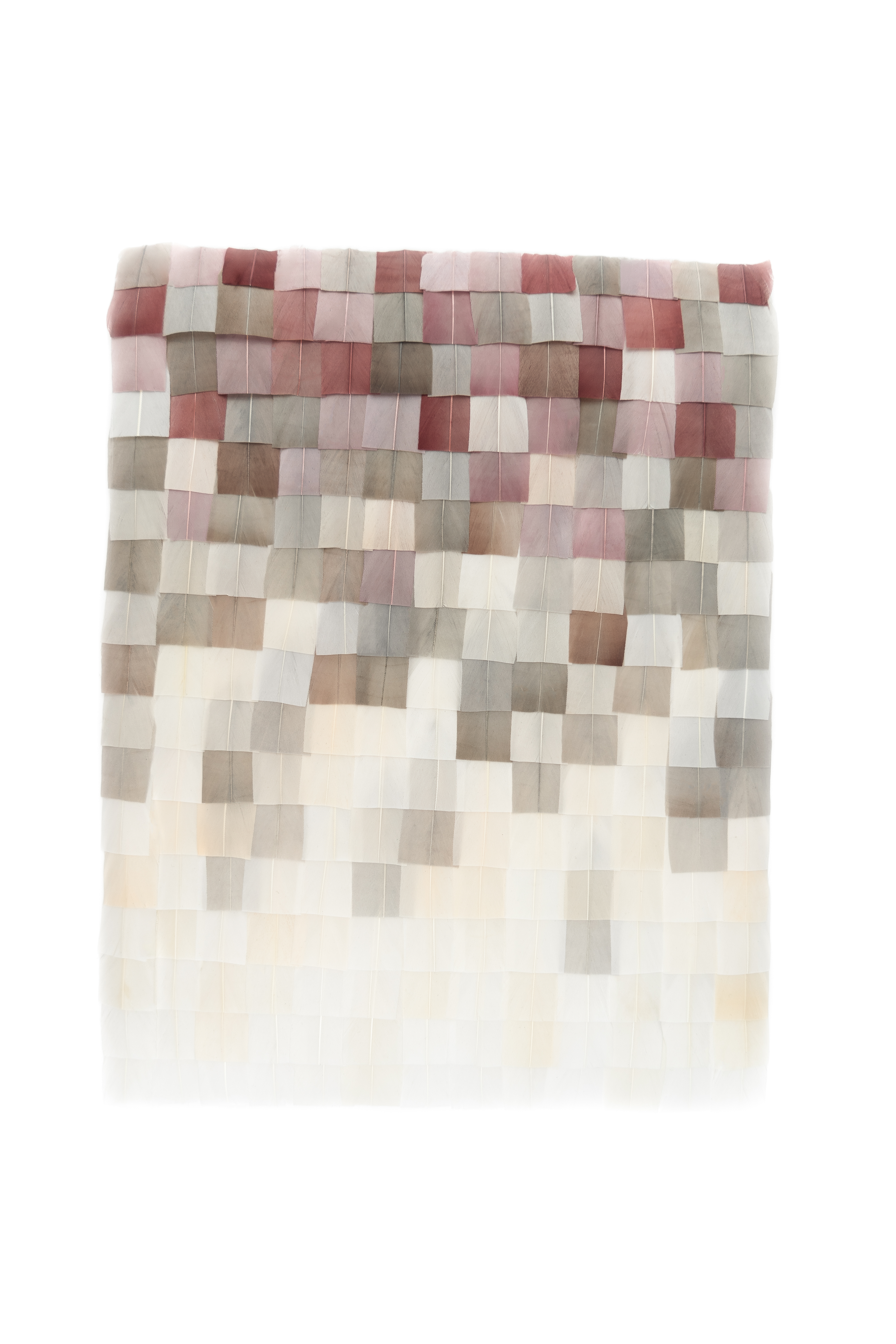 Echantillon plumasserie, Mosaic. Couleur : Gris, Rose, Blanc Catégorie : Graphic