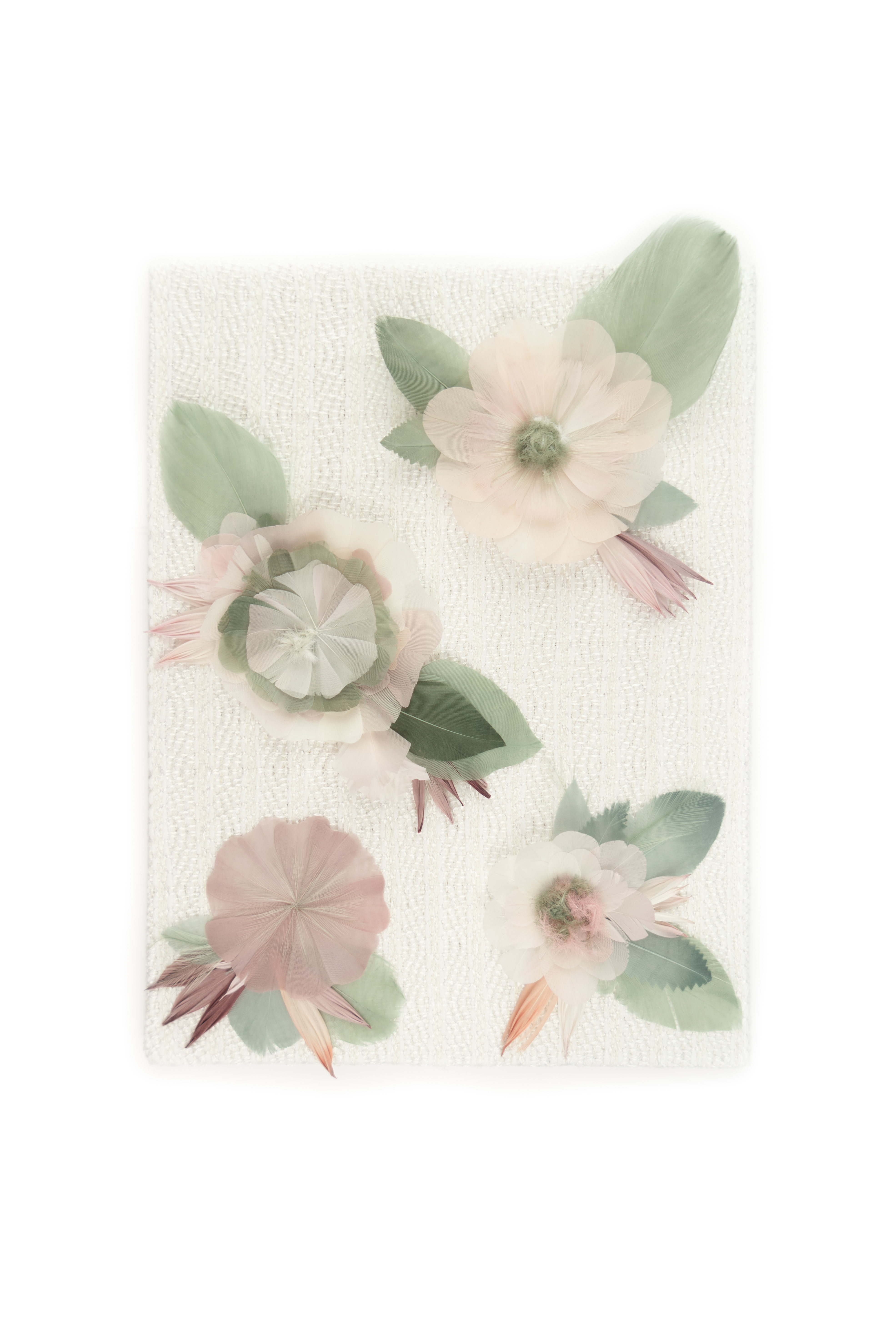 Echantillon plumasserie, Weaving Persephone. Couleur : Rose, Vert Catégorie : Vegetal