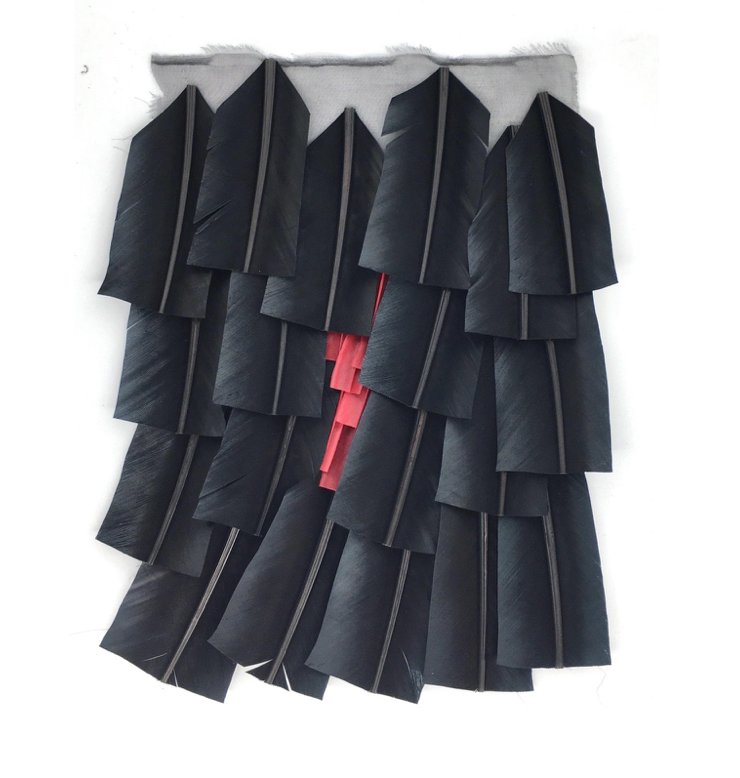 Echantillon plumasserie, Black Vulcain. Couleur : Noir Catégorie : Black