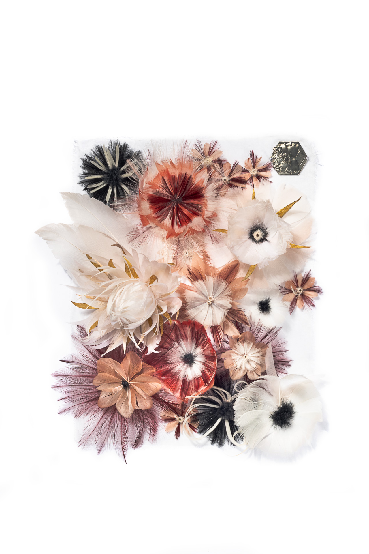 Echantillon plumasserie, duchess-garden. Couleur : Blanc, Noir, Rose Catégorie : Vegetal