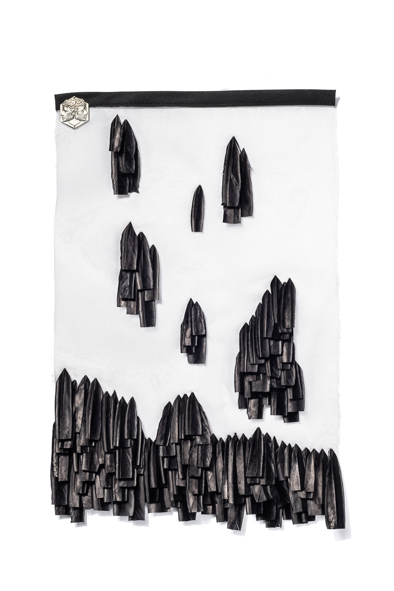 Echantillon plumasserie, Koal. Couleur : Noir Catégorie : Black