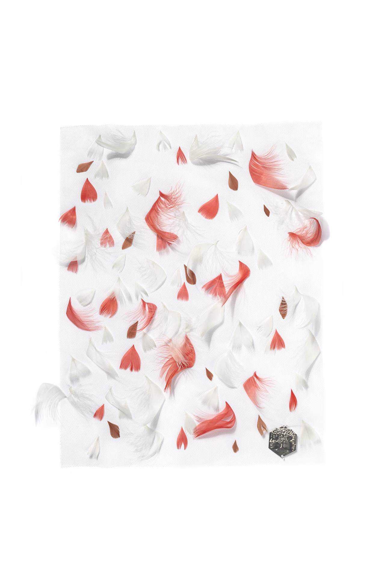 Echantillon plumasserie, Cheesecake. Couleur : Rouge, Blanc Catégorie : Miscellanous