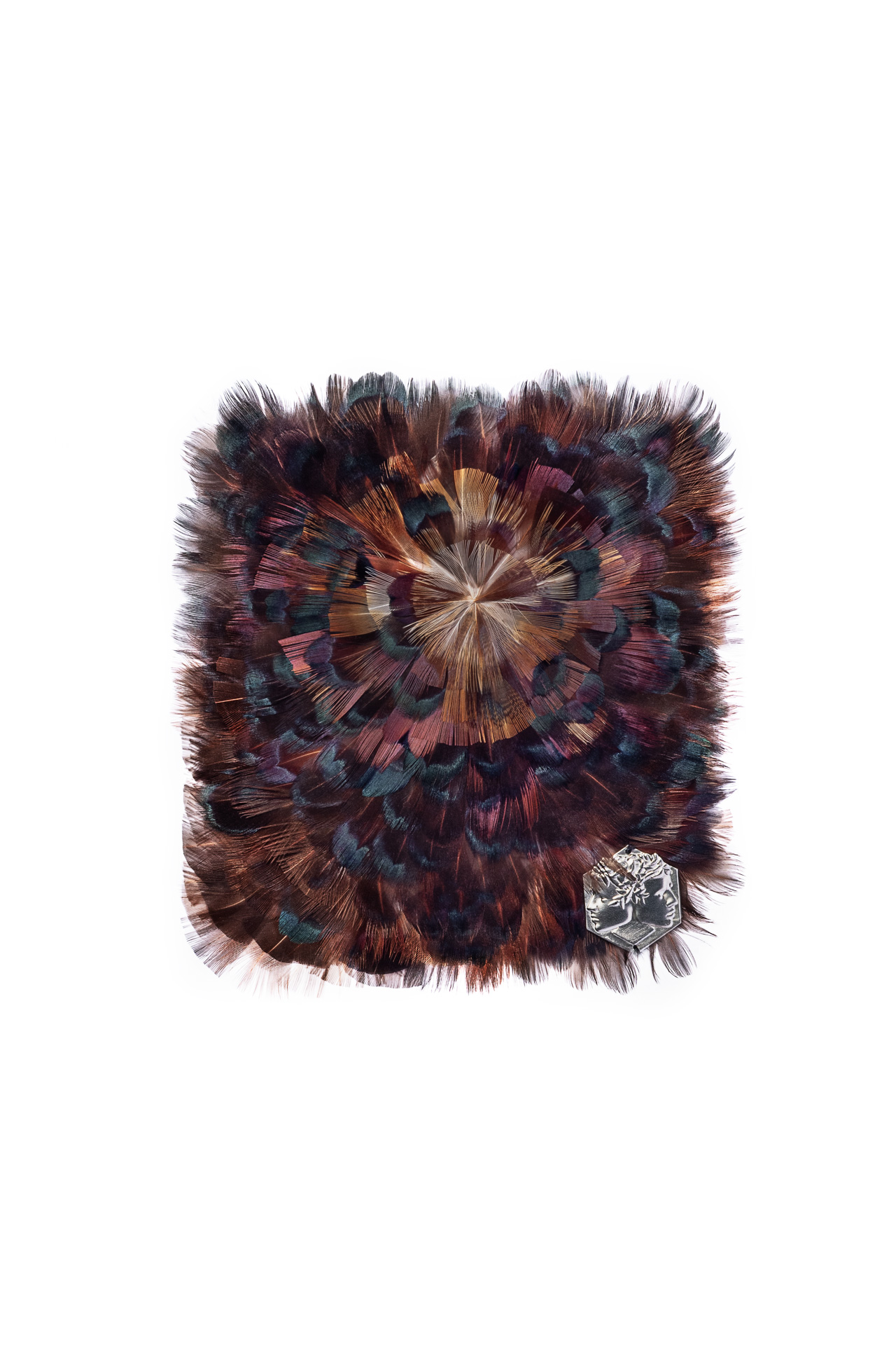 Echantillon plumasserie, Woodeye. Couleur : Marron Catégorie : Animal