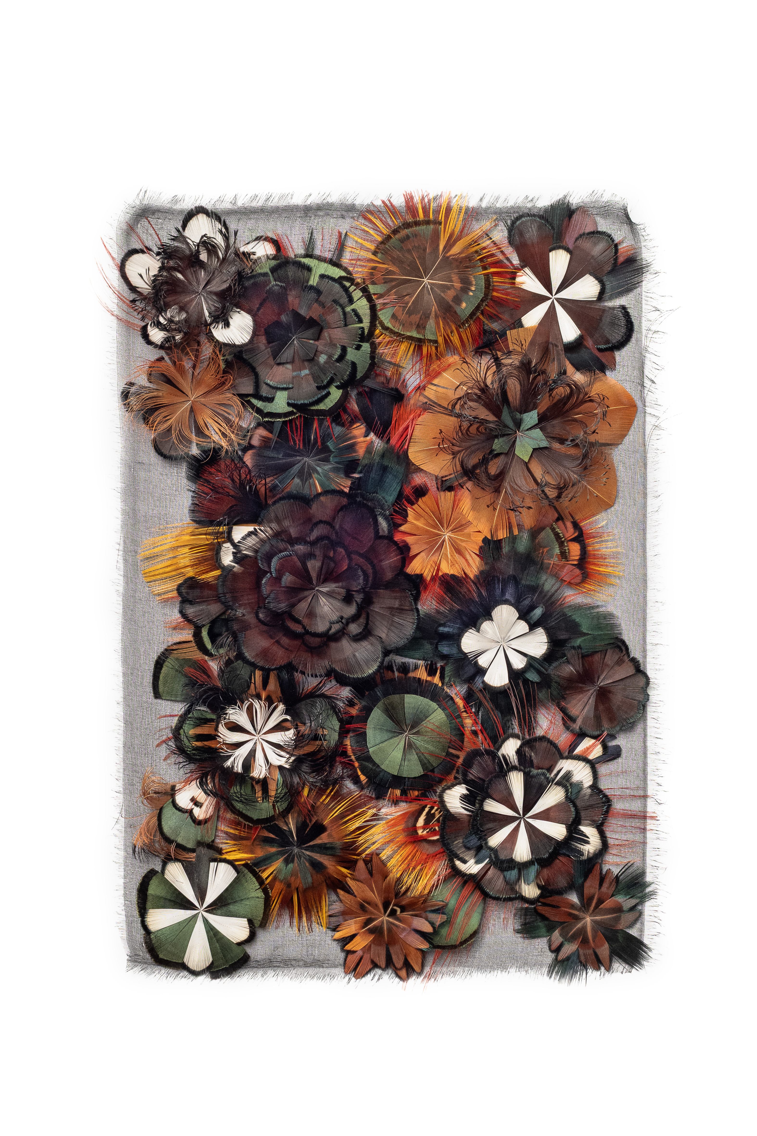Echantillon plumasserie, BrownFlowers. Couleur : Blanc, Noir, Orange Catégorie : Vegetal
