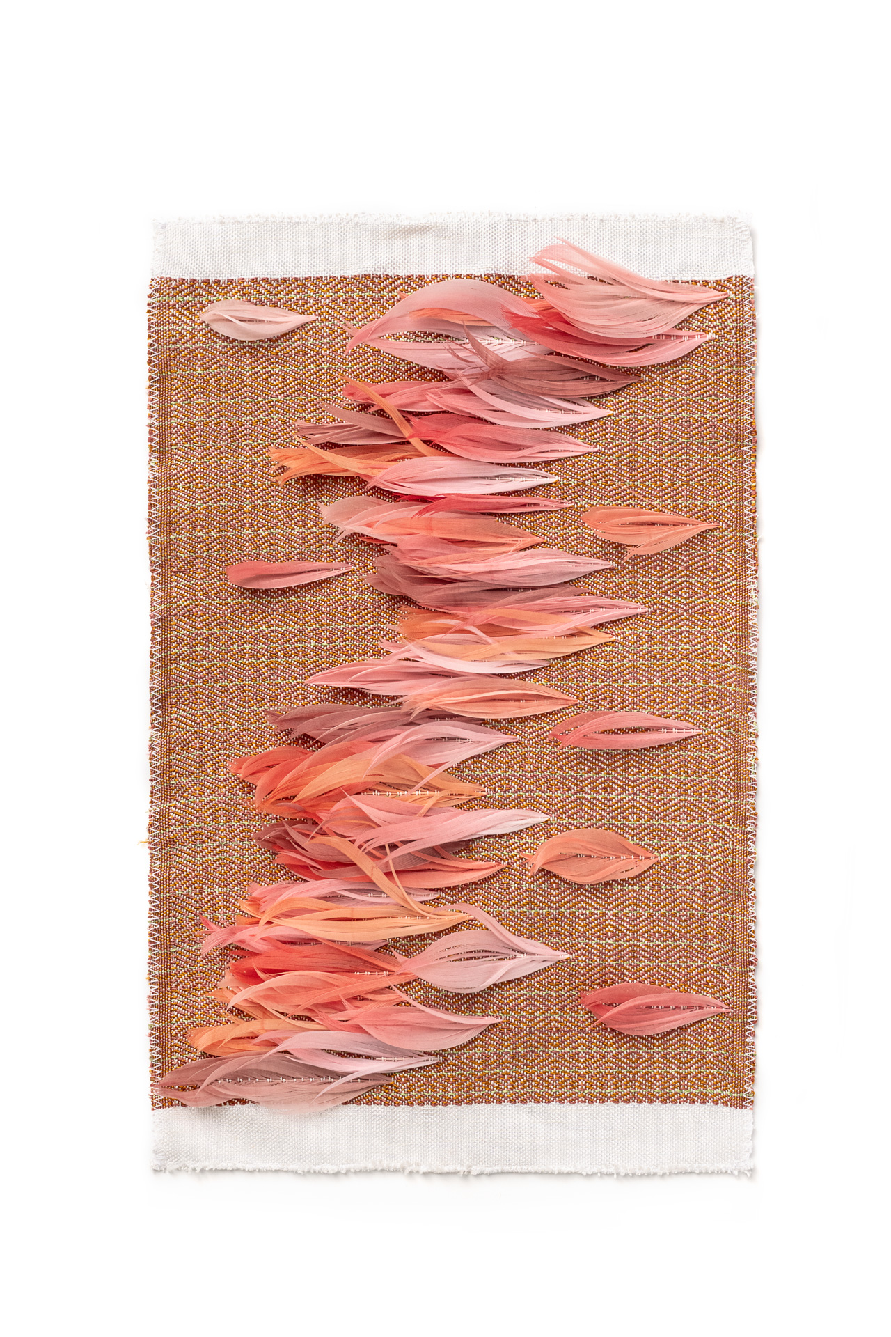 Echantillon Tissage, Pink Jacquard. Couleur : Pink Catégorie : Graphic