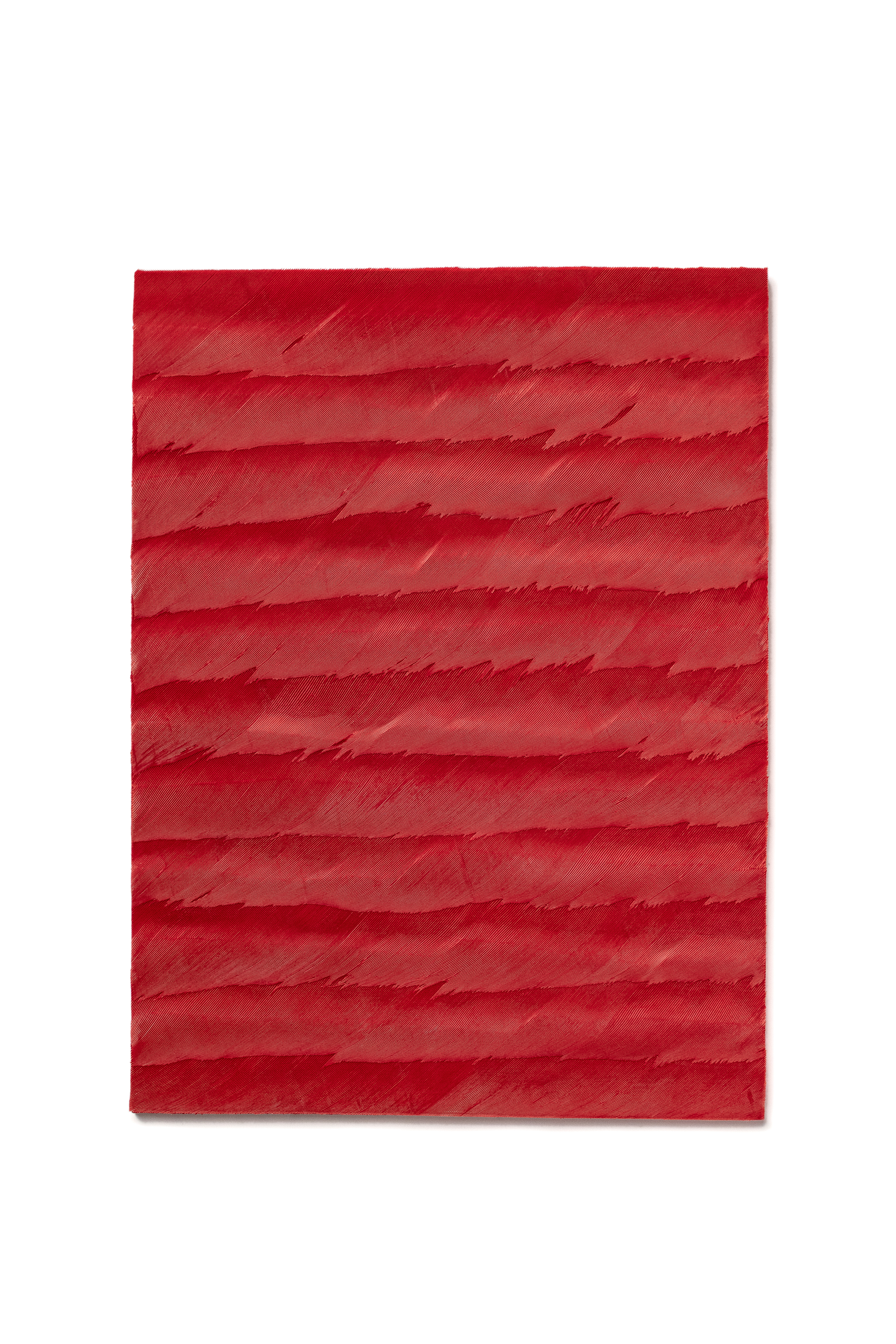 Echantillon Plumasserie, Red Shudder Wall. Couleur : Red Catégorie : Graphic