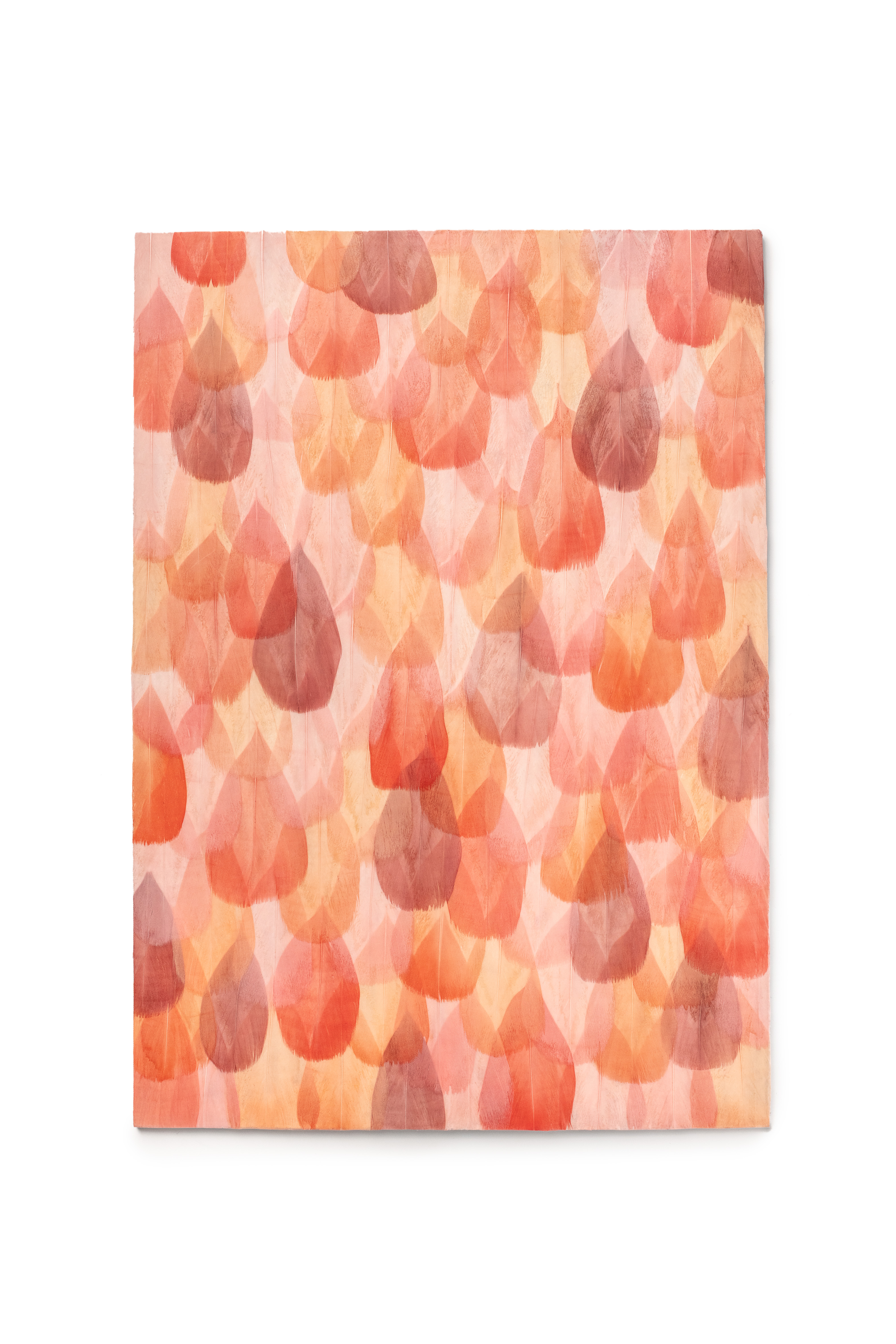Echantillon Plumasserie, Petals Wall. Couleur : Rose Catégorie : Multicolor