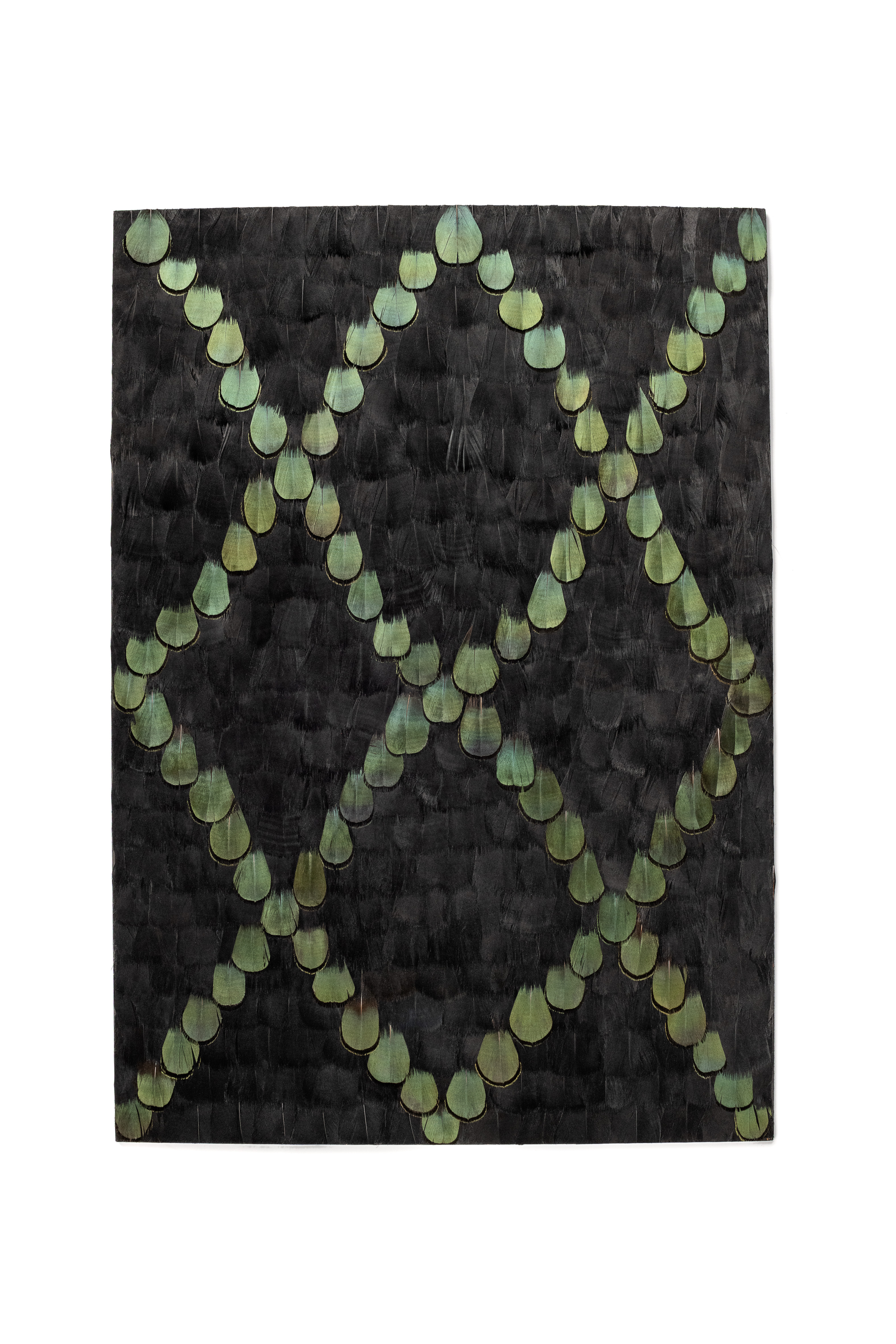 Echantillon Plumasserie, Blason Wall. Couleur :Noir Catégorie : Graphic