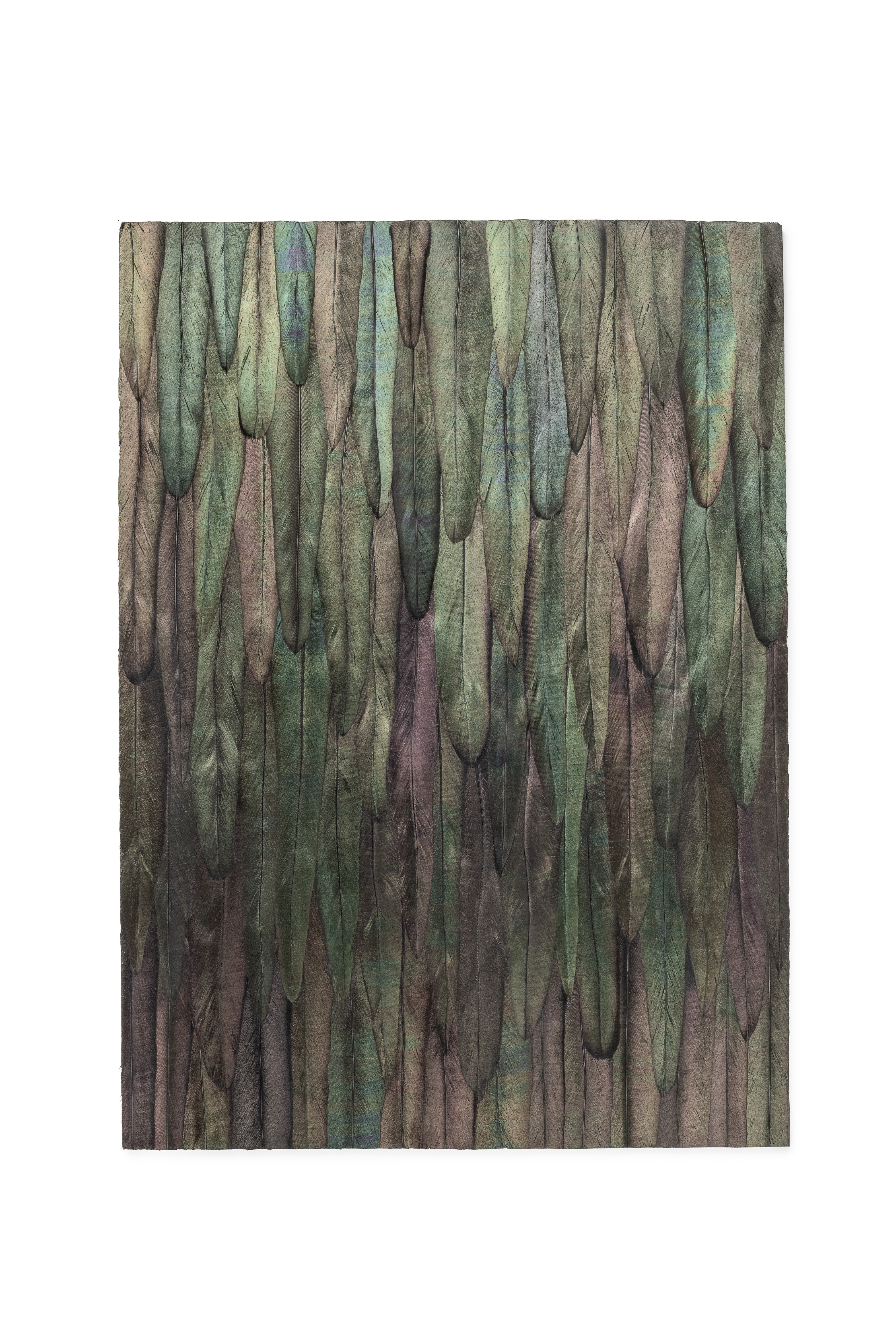 Echantillon Plumasserie, Rooster Wall. Couleur : Vert, Noir Catégorie : Metallics